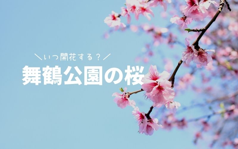 舞鶴公園桜の開花状況-TOP